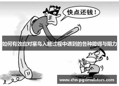 如何有效应对塞鸟入籍过程中遇到的各种障碍与阻力